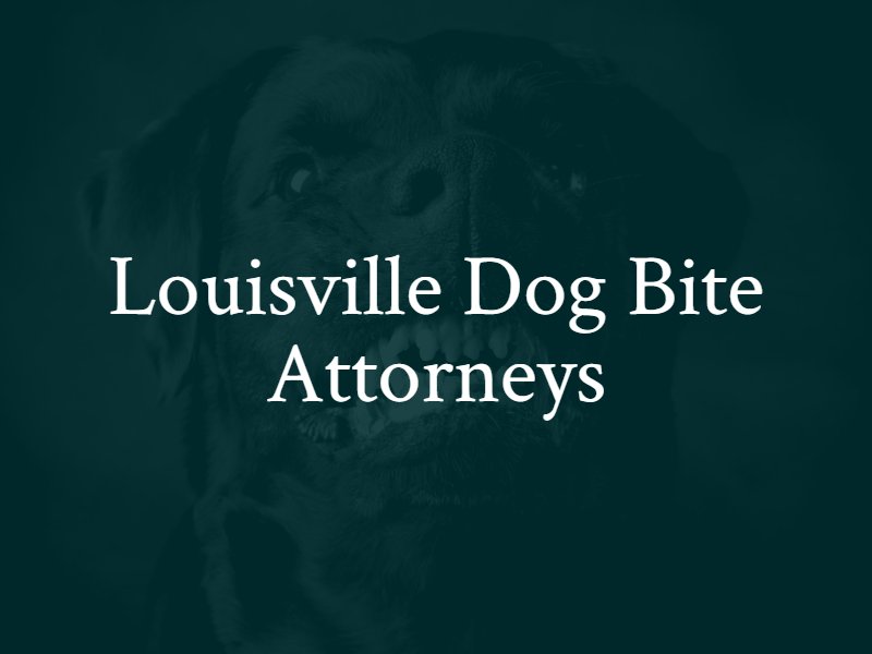 Louisville, KY Dog Bite Lawyers